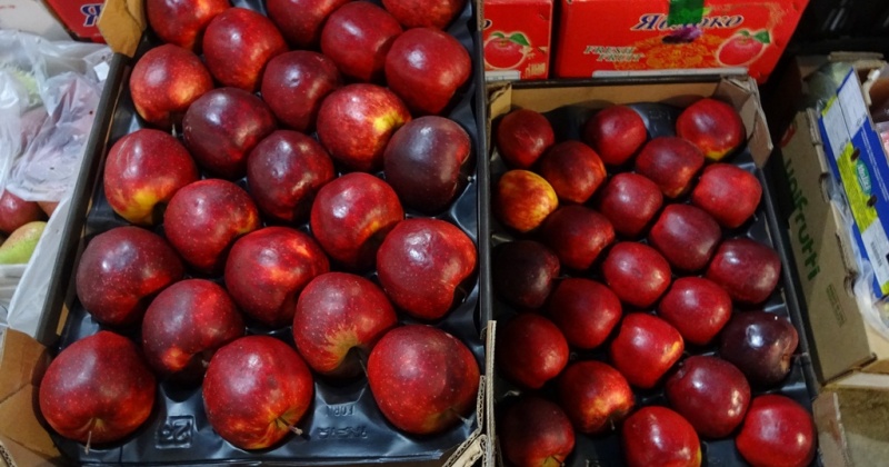 В Магадане уничтожено 66 кг санкционных бельгийских яблок 