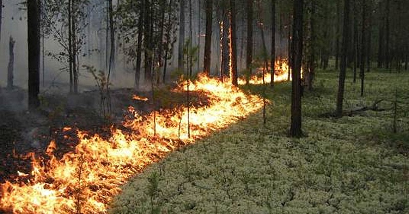 Высокая пожарная опасность сохраняется на территории Магаданской области