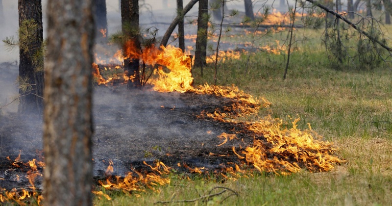 В Ягоднинском и Среднеканском районах высокая пожароопасность
