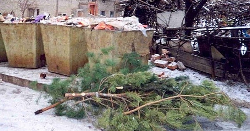 Жителям Магадана рассказали как правильно утилизировать новогоднюю елку