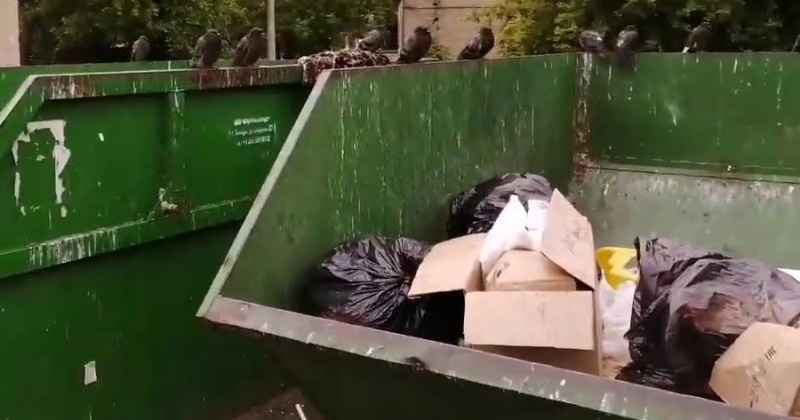 На отдельных контейнерных площадках Магадана образовались стихийные несанкционированные свалки мусора