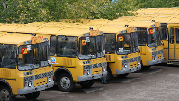 На закупку новых школьных автобусов в России выделят 5 млрд рублей