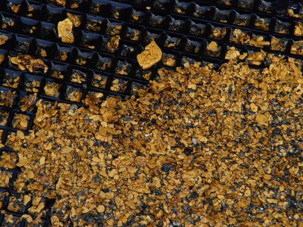 620 килограммов золота из 800 запланированных добыли в ООО «Чай-Урья»