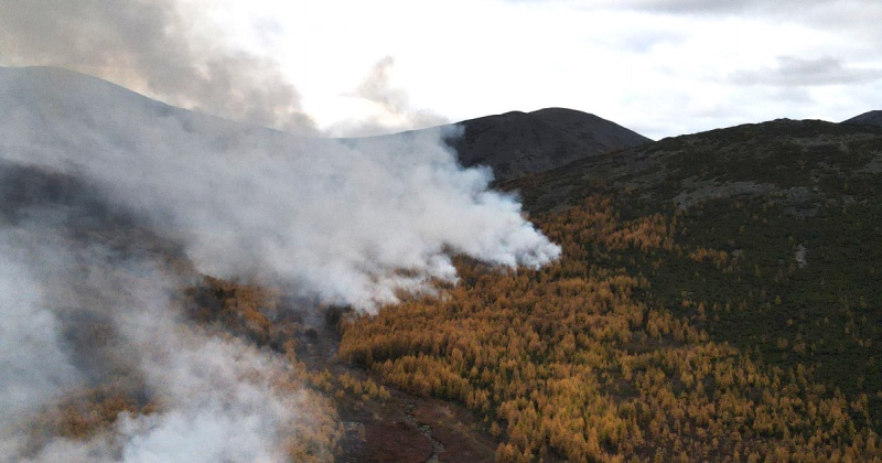 Лесные пожары в Магадане и области действуют на 100 гектарах (Видео)