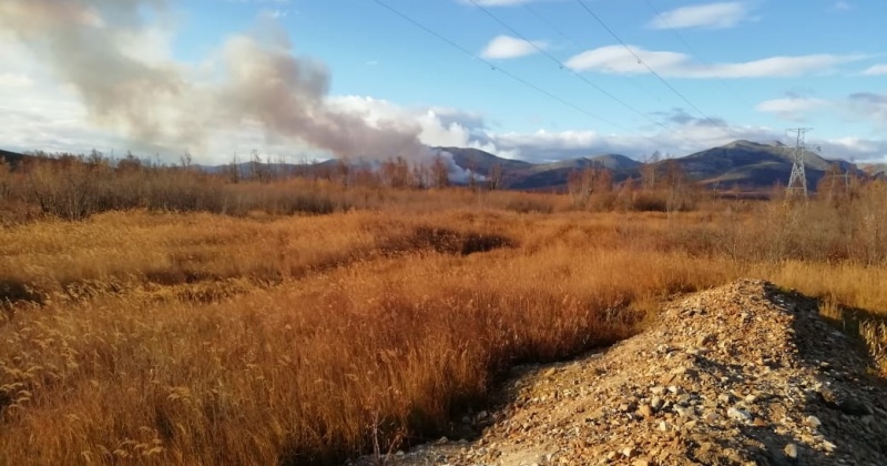 Площадь природного пожара в Магаданской области  составляет 310 га