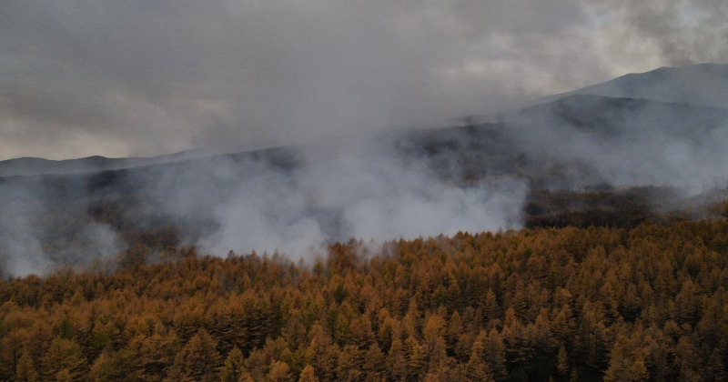 Три уголовных дела возбуждено по фактам лесных пожаров в  Магадане, в Ольском и Хасынском районах