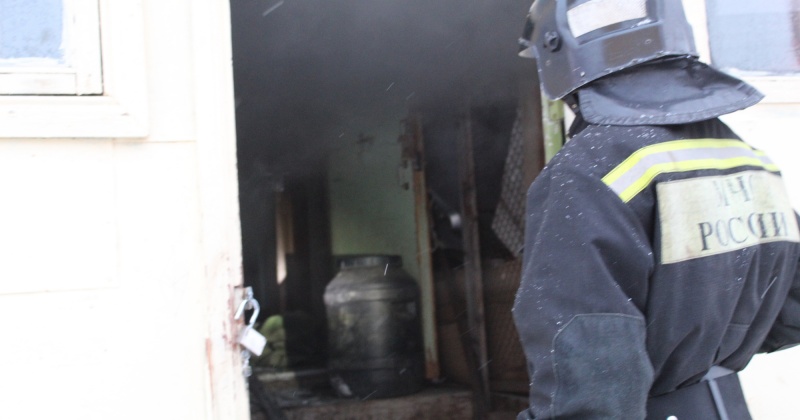 17 кур сгорело при пожаре в курятнике в Магадане