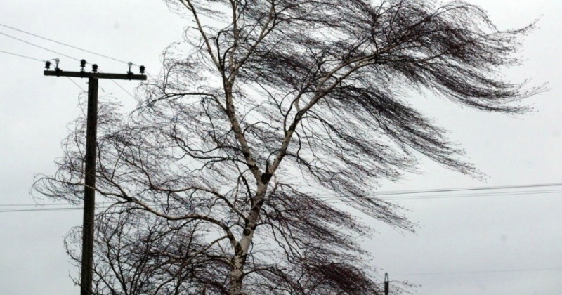 Ветер  15-20 м/с. ожидается в Ольском районе