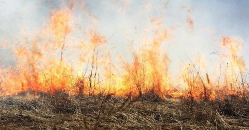 С начала пожароопасного периода на территории Магадана и его окрестностях зарегистрировано 38 загораний сухой травы