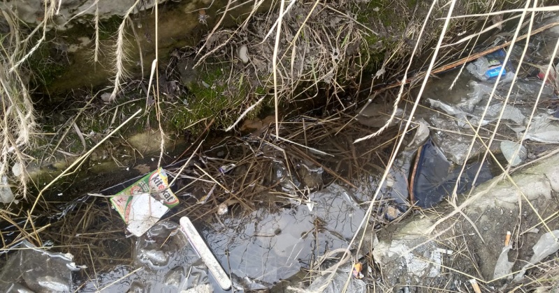 Магаданским межрайонным природоохранным прокурором пресечены действия по загрязнению водного объекта