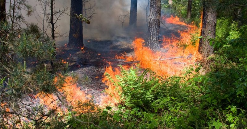 Работники Авиалеосохраны продолжают борьбу с лесными пожарами на территории  Колымы
