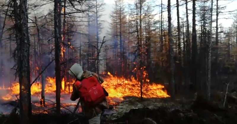 За сутки на Колыме ликвидированы 5 пожаров на площади 7924 га