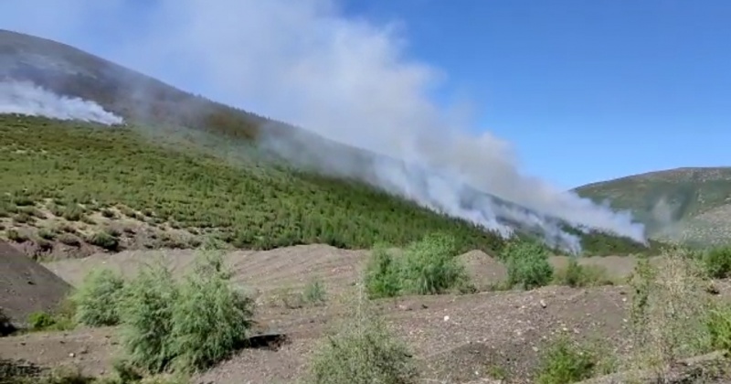 Высокая пожарная опасность  4 класса сохраняется в районах Колымы