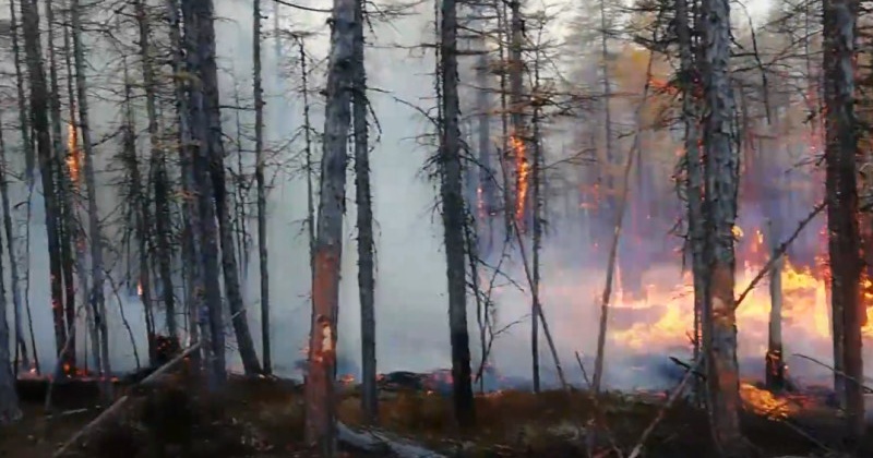 В Магаданской области действуют 4 природных пожара