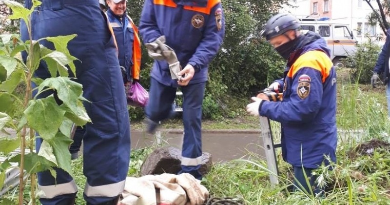 Собаку из канализационного люка спасли в Магадане
