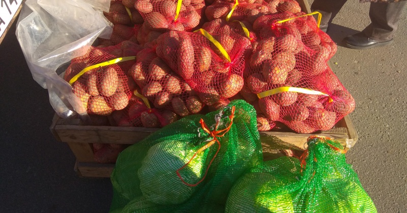 В Магаданской области приступили к наращиванию мощностей ярмарочной и мобильной торговли сезонными овощами