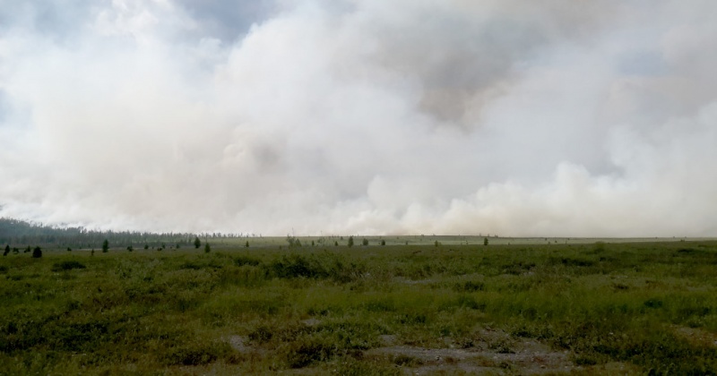 Всего с начала пожароопасного сезона в Магаданской области возникло 88 лесных пожаров на площади 204 тыс. га