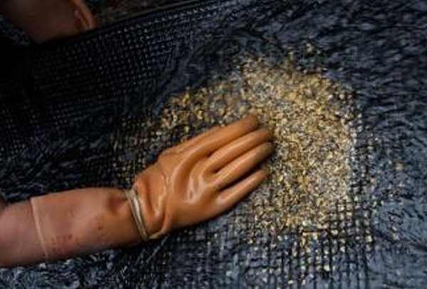 26,7 тонн золота и 356,7 тонн серебра добыто на Колыме на сегодняшний день