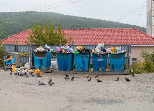 Юрий Гришан: Если не вывозить ежесуточно отходы, город может столкнуться с эпидемиологическими рисками