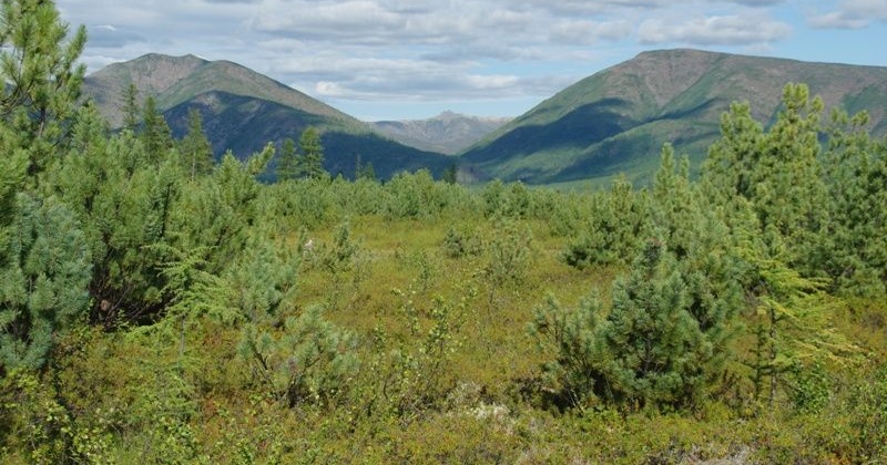 Ученые предложили создать национальный парк между Якутией и Магаданской областью