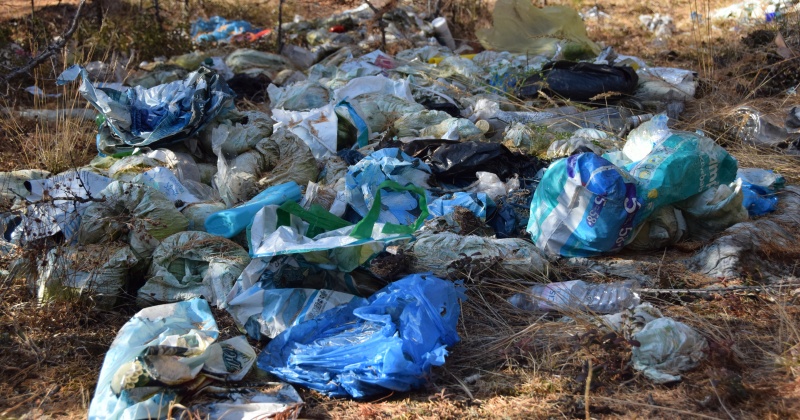 Несанкционированная свалка бытовых и медицинских отходов, обнаруженная сотрудниками Магаданской областной Думы, ликвидирована