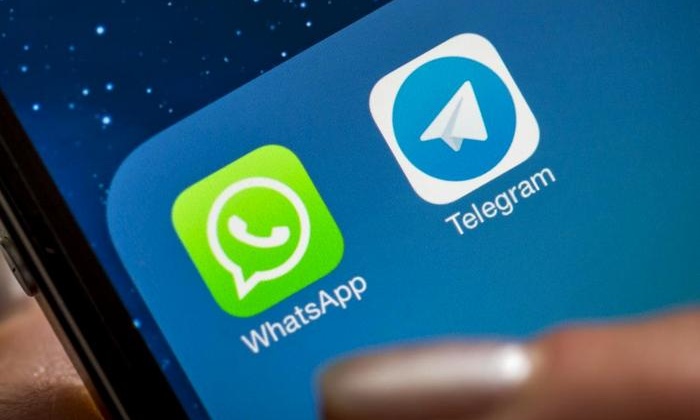 Telegram стал самым быстрорастущим мессенджером Магадана  