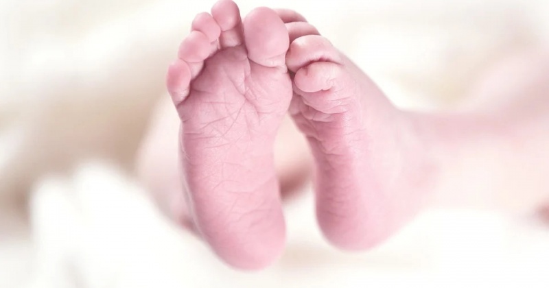 В магаданском роддоме с 31 декабря 2021 года по 9 января 2022 года на свет появилось 28 детей