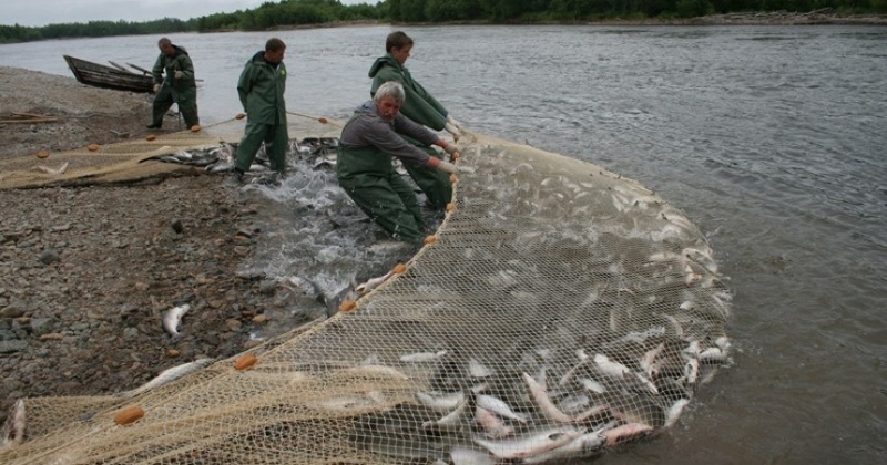 В Магаданской области не будет ограничений для любительского и традиционного рыболовства
