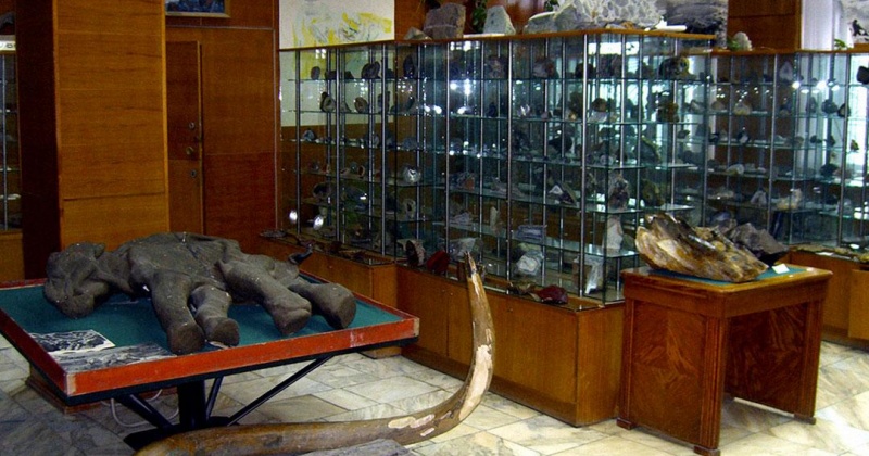 18 мая 1977 года создан музей естественной истории (геолого-минералогический музей) СВКНИИ