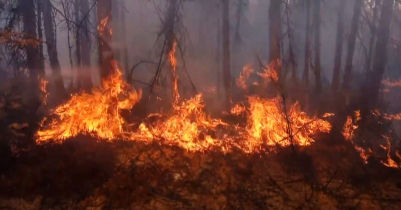 Высокая пожарная опасность ожидается на Колыме