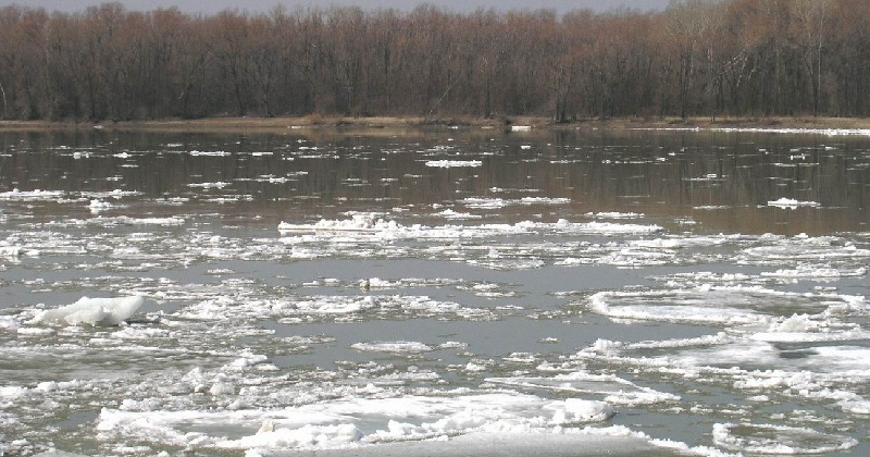 Природоохранной прокуратурой пресечено загрязнение ручья Заветный в Ягоднинском районе