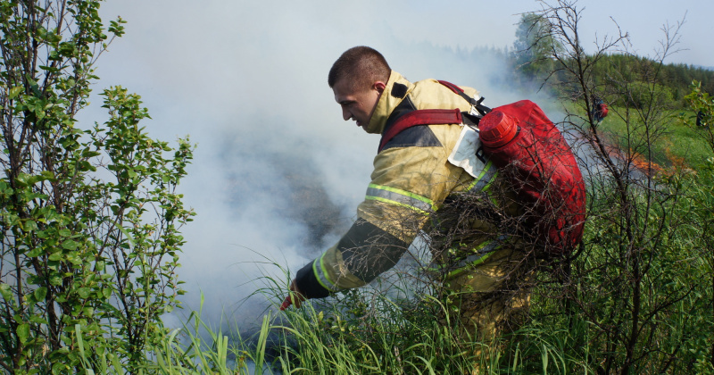 Силы и средства МЧС России привлечены к тушению лесного пожара у поселка Сокол (Видео)