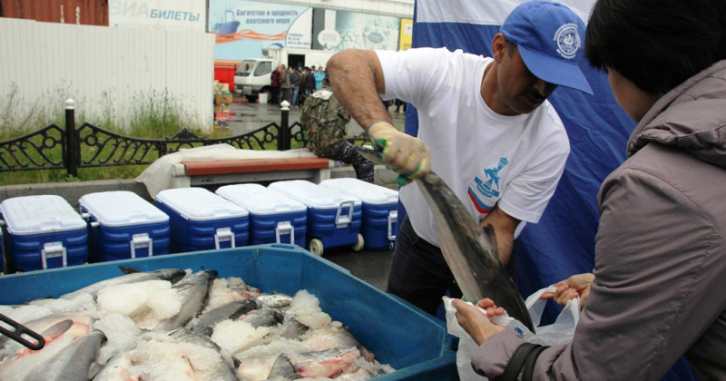 Горбушу по 80 рублей за «хвост» начали продавать магаданские рыбаки на субботних ярмарках