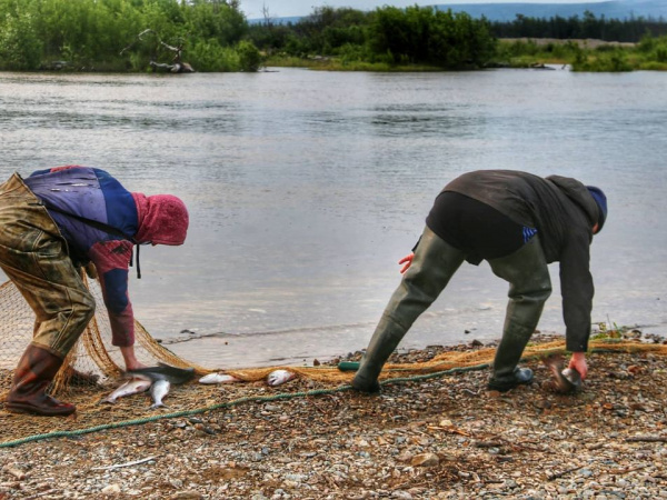 На Колыме выявлен очередной случай незаконного вылова водных биологических ресурсов