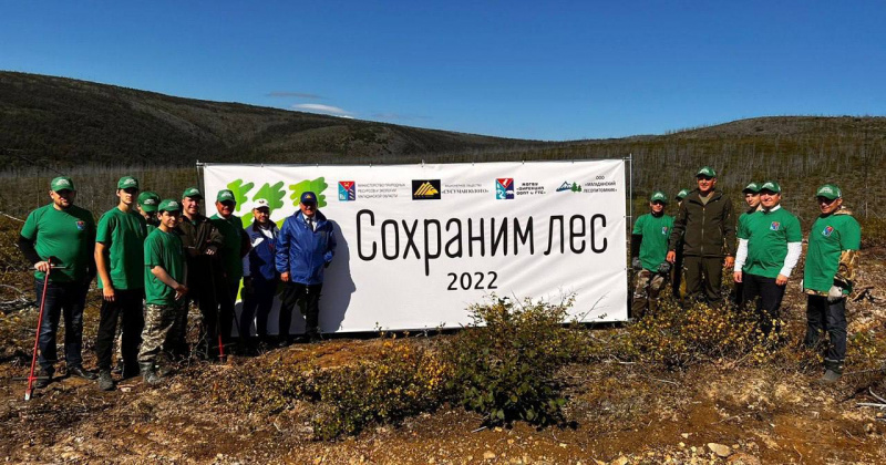 Сергей Носов: Благодаря вам проводится большая работа по сохранению лесов Колымы и их восстановлению