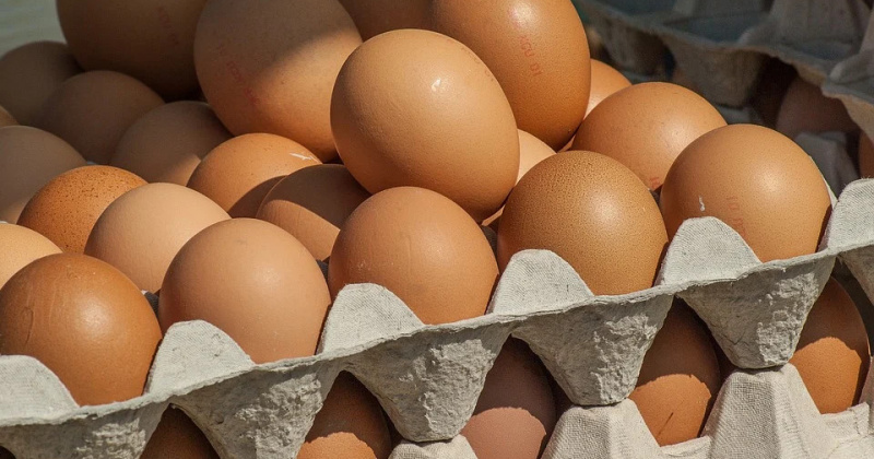 В Магадане снизилась цена на куриные яйца