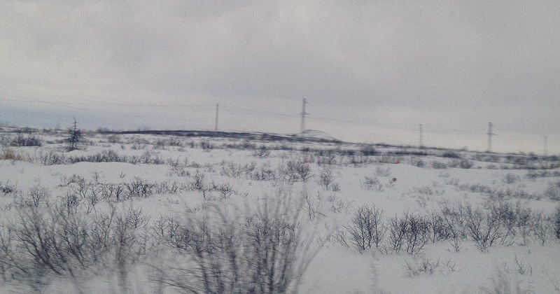 В Магаданской области успешно завершены поиски семьи, на сутки застрявшей в снежном плену