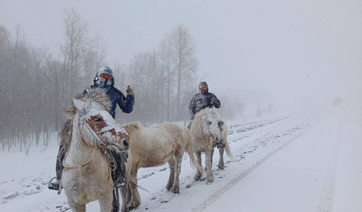 В феврале путешественник Дугуйдан Винокуров планирует совершить конный переход из Оймяконского района Якутии до поселка Сеймчан