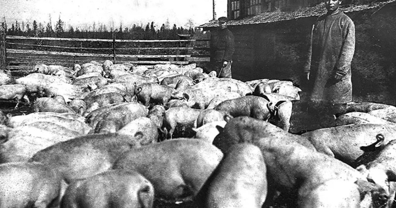 20 февраля 1938 года в Магадане открылось совещание по советско-колхозному строительству в национальных районах Колымы