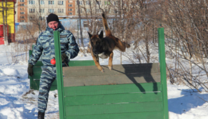 В Центр кинологической службы Отдела МВД России по городу Магадану приглашают на работу проводника служебных собак