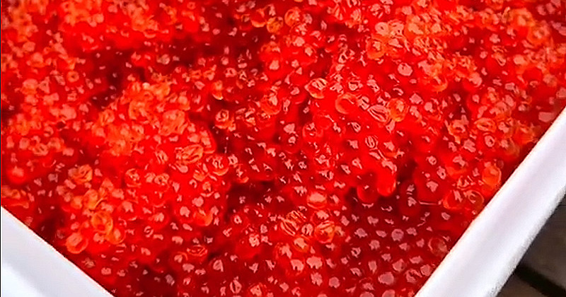 До пяти лет грозит колымчанам за  вылов более 50 экземпляров кеты, из которой они добыли более 12 кг красной икры.