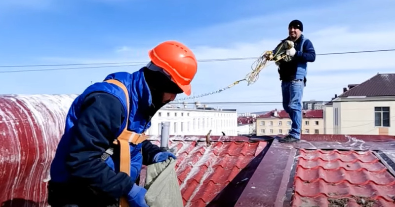 Коммунальщики убирают гнезда чаек с крыш домов Магадана (Видео)