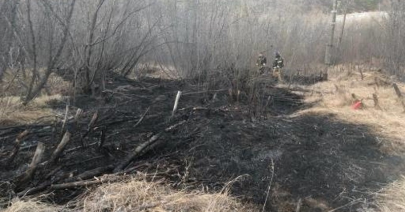 В посёлке Усть-Омчуг детей поймали за поджогом травы