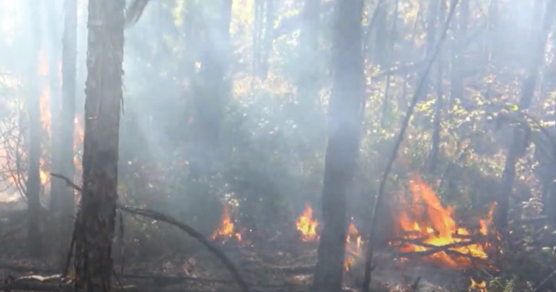 За дежурные сутки магаданские пожарные выезжали на тушение сухой растительности