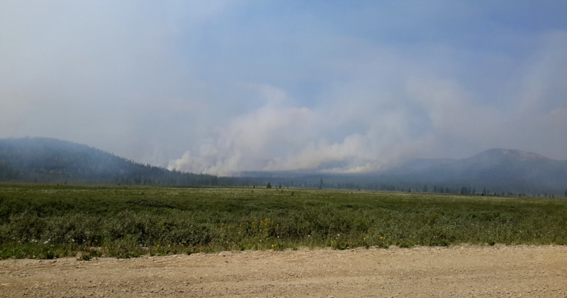 В Магаданской области в настоящее время действуют 5 пожаров на общей площади более 2 тысяч га