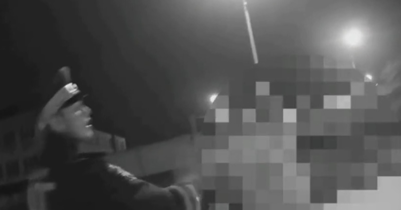 Cпецсредства применили полицейские к пьяной женщине за рулем (Видео)