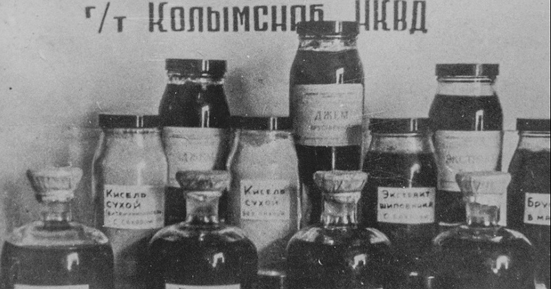 9 апреля 1935 года при витаминной лаборатории Сануправления начали изготовлять экстракт из кедрового стланика.