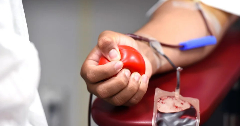 Магаданские судебные приставы пополнили банк донорской крови