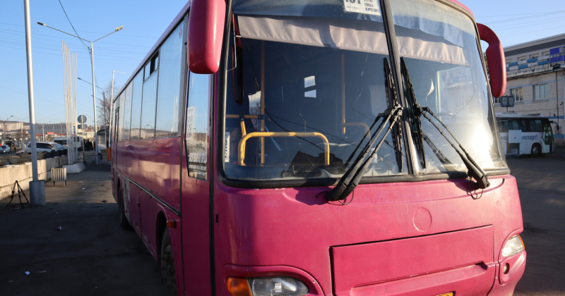 Автобус 101 балтым