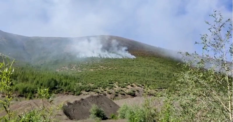 Высокая пожарная опасность сохраняется в пяти муниципальных округах Магаданской области